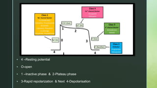 z
 4 –Resting potential
 O-open
 1 –Inactive phase & 2-Plateau phase
 3-Rapid repolarization & Next 4-Depolarisation
 