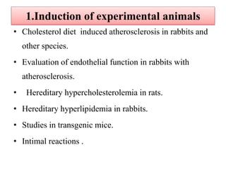 1.Induction of experimental animals
• Cholesterol diet induced atherosclerosis in rabbits and
other species.
• Evaluation of endothelial function in rabbits with
atherosclerosis.
• Hereditary hypercholesterolemia in rats.
• Hereditary hyperlipidemia in rabbits.
• Studies in transgenic mice.
• Intimal reactions .
 