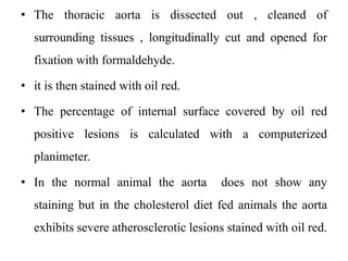• The thoracic aorta is dissected out , cleaned of
surrounding tissues , longitudinally cut and opened for
fixation with formaldehyde.
• it is then stained with oil red.
• The percentage of internal surface covered by oil red
positive lesions is calculated with a computerized
planimeter.
• In the normal animal the aorta does not show any
staining but in the cholesterol diet fed animals the aorta
exhibits severe atherosclerotic lesions stained with oil red.
 