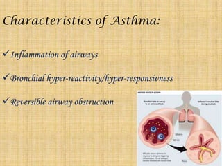 Antiasthmatics | PPTX