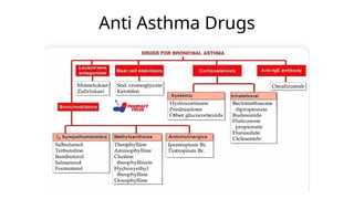 Anti Asthmatic.pptx classification of asthma | PPTX