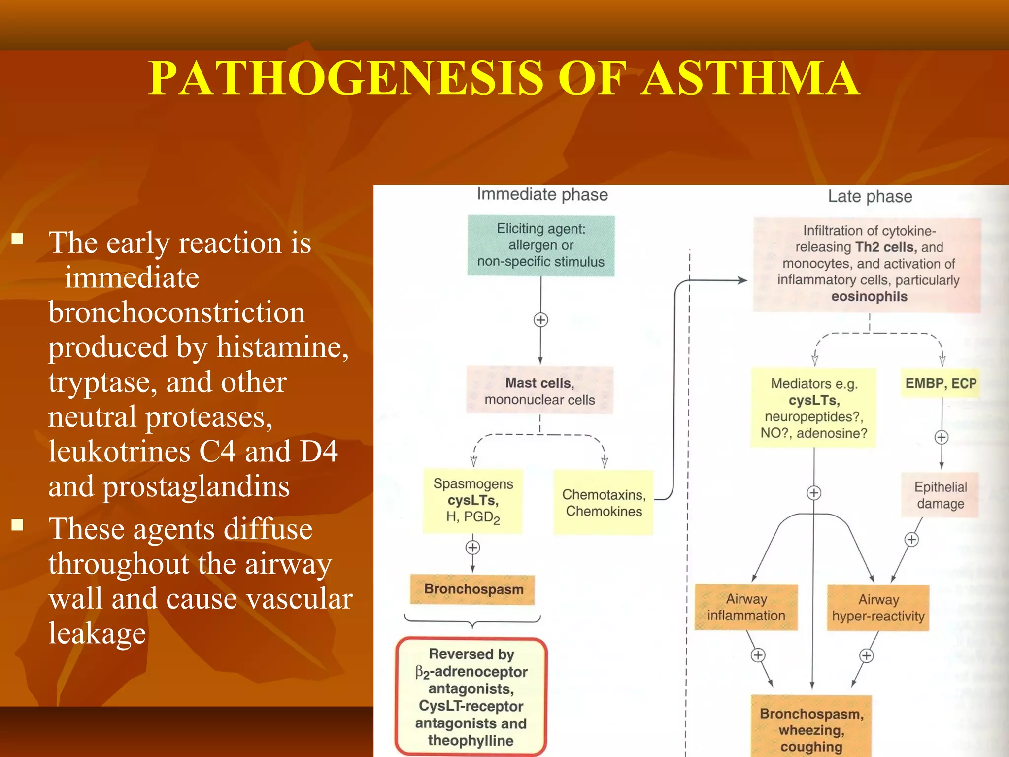Antiasthmatic drugs PPT