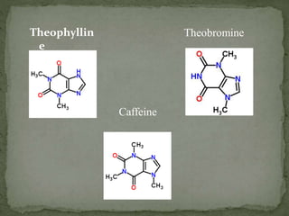 Theophyllin
e
Caffeine
Theobromine
 