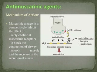 Mechanism of Action:
 Muscarinic antagonists
competitively inhibit
the effect of
acetylcholine at
muscarinic receptors
ie block the
contraction of airway
smooth muscle
and the increase in the
secretion of mucus.
 