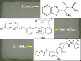 Montelukast
Zileuton
Zafirlukast
 