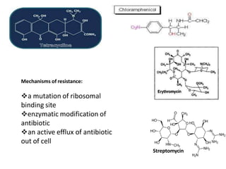 Streptomycin
Mechanisms of resistance:
a mutation of ribosomal
binding site
enzymatic modification of
antibiotic
an active efflux of antibiotic
out of cell
 