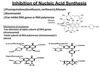 Inhibition of Nucleic Acid Synthesis
Fluoroquinolones(levofloxacin, norfloxacin),Rifampin
Bacteriocidal
Can inhibit DNA gyrase or RNA polymerase
Mechanism of resistance:
an alteration of alpha subunit of DNA gyrase
(chromosomal)
beta subunit of RNA polymerase (chromosomal) is
altered
 