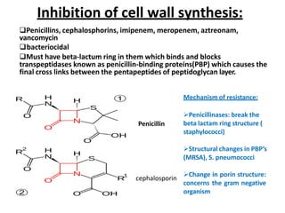 Inhibition of cell wall synthesis:
Penicillins, cephalosphorins, imipenem, meropenem, aztreonam,
vancomycin
bacteriocidal
Must have beta-lactum ring in them which binds and blocks
transpeptidases known as penicillin-binding proteins(PBP) which causes the
final cross links between the pentapeptides of peptidoglycan layer.
Mechanism of resistance:
Penicillin
cephalosporin
Penicillinases: break the
beta lactam ring structure (
staphylococci)
Structural changes in PBP’s
(MRSA), S. pneumococci
Change in porin structure:
concerns the gram negative
organism
 