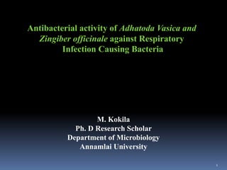 Antibacterial activity of Adhatoda Vasica and
Zingiber officinale against Respiratory
Infection Causing Bacteria
M. Kokila
Ph. D Research Scholar
Department of Microbiology
Annamlai University
1
 