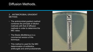 Antibacterial Assay.pptx