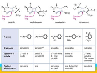 Bactericidal Examples Antibacterial chemicals bactericidal and bacteriostatic agents | PPTX
