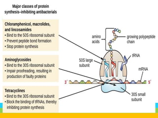 Antibacterial chemicals bactericidal and bacteriostatic agents | PPTX