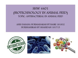 SHW 4401
(BIOTECHNOLOGY IN ANIMAL FEED)
TOPIC: ANTIBACTERIAL IN ANIMAL FEED
ANIS FAHANA NURMAISARAH BT BASRI 181832
NURSHAHIRAH BT SHAHIDAN 181715
 