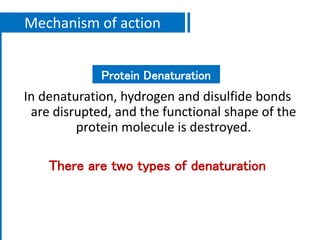 Mechanism of action
In denaturation, hydrogen and disulfide bonds
are disrupted, and the functional shape of the
protein molecule is destroyed.
There are two types of denaturation
Protein Denaturation
 