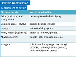 Chemical agents Way of denaturation
Acids (boric acid, and
strong alkalis )
destroy protein by hydrolyzing
Oxidizing agents (H2O2) oxidize disulfide linkages
Halogens act as oxidizing agents
Heavy metals (Hg and Ag) attach to sulfhydryl groups.
Alkylating agents donate –CH3 groups to proteins
Halogens substituted for hydrogen in carboxyl
(-COOH), sulfhydryl, amino (—NH2),
and alcohol (—OH) groups
Mechanism of action
Protein Denaturation
 