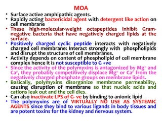 MOA
• Surface active amphipathic agents.
• Rapidly acting bactericidal agent with detergent like action on
cell membrane
• These high-molecular-weight octapeptides inhibit Gram-
negative bacteria that have negatively charged lipids at the
surface.
• Positively charged cyclic peptide interacts with negatively
charged cell membrane: Interact strongly with phospholipids
and disrupt the structure of cell membranes.
• Activity depends on content of phospholipid of cell membrane
complex hence it is not susceptible to G +ve
• Since the activity of the polymyxins is antagonized by Mg2+
and
Ca2+
, they probably competitively displace Mg2+
or Ca2+
from the
negatively charged phosphate groups on membrane lipids.
• Basically, polymyxins disorganize membrane permeability,
causing disruption of membrane so that nucleic acids and
cations leak out and the cell dies.
• Can also inactivate LPS of G- ve by binding to anionic lipid
• The polymyxins are of VIRTUALLY NO USE AS SYSTEMIC
AGENTS since they bind to various ligands in body tissues and
are potent toxins for the kidney and nervous system.
 