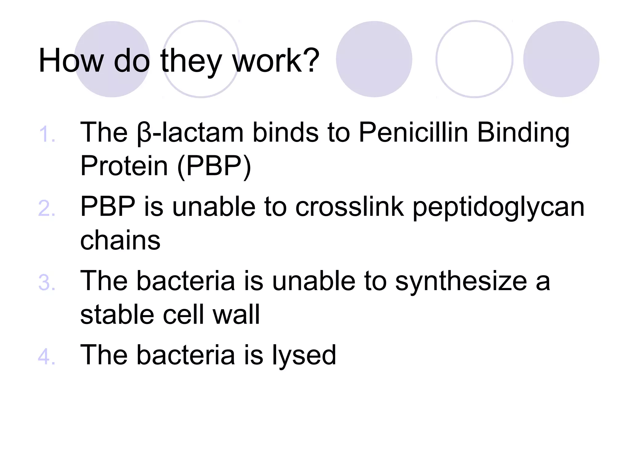 How do they work?

1. The β-lactam binds to Penicillin Binding
   Protein (PBP)
2. PBP is unable to crosslink peptidoglycan
   chains
3. The bacteria is unable to synthesize a
   stable cell wall
4. The bacteria is lysed
 