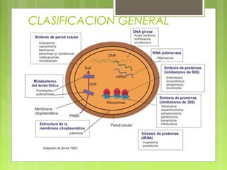 CLASIFICACION GENERAL
 