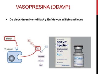 VASOPRESINA (DDAVP)
• De elección en Hemofilia A y Enf de von Willebrand leves
 
