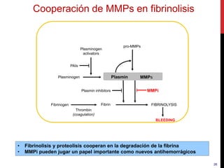 26
Cooperación de MMPs en fibrinolisis
Plasminogen
activators
Plasminogen
Fibrinogen Fibrin
Thrombin
(coagulation)
FIBRINOLYSIS
PAIs
Plasmin inhibitors
pro-MMPs
MMPsPlasmin
BLEEDING
MMPi
• Fibrinolisis y proteolisis cooperan en la degradación de la fibrina
• MMPi pueden jugar un papel importante como nuevos antihemorrágicos
 