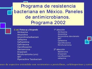 Programa de resistencia bacteriana en México. Paneles de antimicrobianos.  Programa 2002 E. coli , Proteus sp y Morganella Amikacina Ampicilina Ampicilina/sulbactam Cefepime Ceftazidima Ceftriaxona Ciprofloxacino Gentamicina Imipenem Nitrofurantoína (uro) SXT Piperacilina Tazobactam 1ª elección Amikacina Ampicilina Amoxicilina clavulanato SXT Cefalotina Ciprofloxacina Nitrofurantoina 2ª elección Netilmicina Imipenem Levofloxacina cefepime Β lactamasas de espectro extendido son resistentes a penicilinas, cefalosporinas y aztreonam 