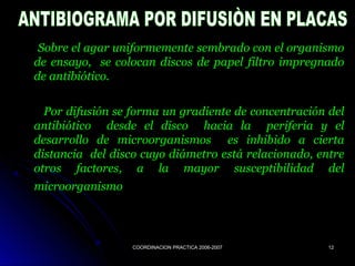 COORDINACION PRACTICA 2006-2007COORDINACION PRACTICA 2006-2007 1212
Sobre el agar uniformemente sembrado con el organismoSobre el agar uniformemente sembrado con el organismo
de ensayo, se colocan discos de papel filtro impregnadode ensayo, se colocan discos de papel filtro impregnado
de antibiótico.de antibiótico.
Por difusión se forma un gradiente de concentración delPor difusión se forma un gradiente de concentración del
antibiótico desde el disco hacia la periferia y elantibiótico desde el disco hacia la periferia y el
desarrollo de microorganismos es inhibido a ciertadesarrollo de microorganismos es inhibido a cierta
distancia del disco cuyo diámetro está relacionado, entredistancia del disco cuyo diámetro está relacionado, entre
otros factores, a la mayor susceptibilidad delotros factores, a la mayor susceptibilidad del
microorganismomicroorganismo
 