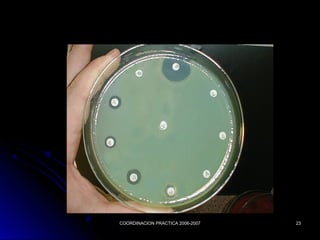 COORDINACION PRACTICA 2006-2007COORDINACION PRACTICA 2006-2007 2323
 