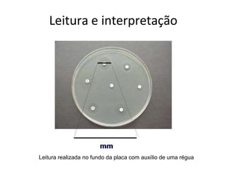 Leitura e interpretação
Leitura realizada no fundo da placa com auxílio de uma régua
 