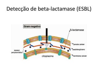 Detecção de beta-lactamase (ESBL)
 
