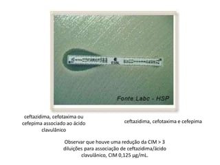 ceftazidima, cefotaxima ou
cefepima associado ao ácido
clavulânico
ceftazidima, cefotaxima e cefepima
Observar que houve uma redução da CIM > 3
diluições para associação de ceftazidima/ácido
clavulânico, CIM 0,125 µg/mL.
 