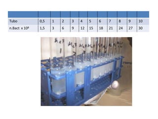 Tubo 0,5 1 2 3 4 5 6 7 8 9 10
n.Bact x 108 1,5 3 6 9 12 15 18 21 24 27 30
 