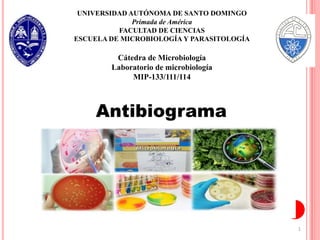 UNIVERSIDAD AUTÓNOMA DE SANTO DOMINGO
Primada de América
FACULTAD DE CIENCIAS
ESCUELA DE MICROBIOLOGÍA Y PARASITOLOGÍA
Cátedra de Microbiología
Laboratorio de microbiología
MIP-133/111/114
1
Antibiograma
 