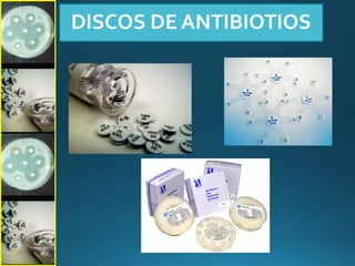 DISCOS DE ANTIBIOTIOS
 