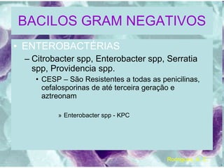 BACILOS GRAM NEGATIVOS ENTEROBACTÉRIAS Citrobacter spp, Enterobacter spp, Serratia spp, Providencia spp. CESP – São Resistentes a todas as penicilinas, cefalosporinas de até terceira geração e aztreonam Enterobacter spp - KPC Rodrigues, A. C. 