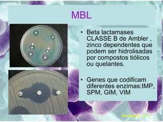 MBL Beta lactamases CLASSE B de Ambler , zinco dependentes que podem ser hidrolisadas por compostos tiólicos ou quelantes. Genes que codificam diferentes enzimas:IMP, SPM, GIM, VIM Rodrigues, A. C. 