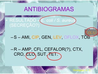 ANTIBIOGRAMAS RESULTADO – E . coli / S. aureus  (SECREÇÃO?) S – AMI,  CIP , GEN,  LEV ,  OFLOX , TOB R – AMP, CFL, CEFALOR(?), CTX, CRO, CLO, SUT, TET. OXA? Rodrigues, A. C. 