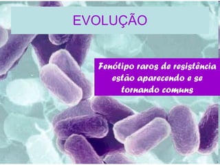 EVOLUÇÃO Fenótipo raros de resistência estão aparecendo e se tornando comuns 