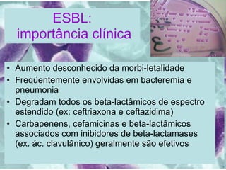 ESBL:  importância clínica Aumento desconhecido da morbi-letalidade Freqüentemente envolvidas em bacteremia e pneumonia Degradam todos os beta-lactâmicos de espectro estendido (ex: ceftriaxona e ceftazidima) Carbapenens, cefamicinas e beta-lactâmicos associados com inibidores de beta-lactamases (ex. ác. clavulânico) geralmente são efetivos  