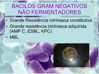 BACILOS GRAM NEGATIVOS NÃO FERMENTADORES Grande Resistência intrínseca constitutiva Grande resistência intrínseca adquirida (AMP C, ESBL, KPC) MBL Rodrigues, A. C. 