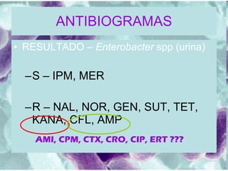 ANTIBIOGRAMAS RESULTADO –  Enterobacter  spp (urina) S – IPM, MER R – NAL, NOR, GEN, SUT, TET, KANA, CFL, AMP AMI, CPM, CTX, CRO, CIP, ERT ??? 