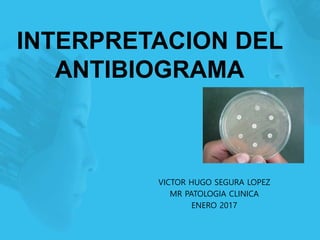 INTERPRETACION DEL
ANTIBIOGRAMA
VICTOR HUGO SEGURA LOPEZ
MR PATOLOGIA CLINICA
ENERO 2017
 