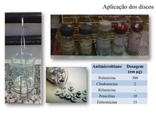Antimicrobiano Dosagem
(em µg)
Polimixina 300
Clindomicina 2
Rifamicina -
Penicilina 10
Eritromicina 15
Aplicação dos discos
 