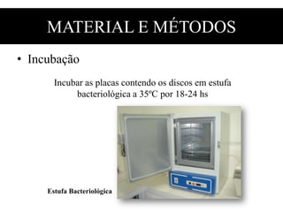 MATERIAL E MÉTODOS
• Incubação
Incubar as placas contendo os discos em estufa
bacteriológica a 35ºC por 18-24 hs
Estufa Bacteriológica
 