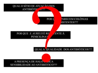 QUAL O SÍTIO DE ATUAÇÃO DOS
ANTIBIÓTICOS???
POR QUE APARECEM COLÔNIAS
RESISTENTES???
POR QUE S. AUREUS É RESISTENTE À
PENICILINA???
A PRESENÇA DE HALO INDICA
SENSIBILIDADE AO ANTIBIÓTICO???
QUAL A QUALIDADE DOS ANTIBIÓTICOS???
 