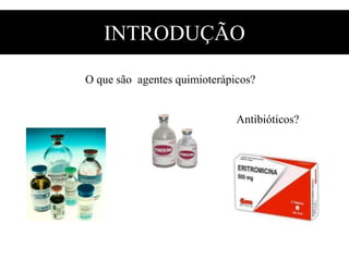 INTRODUÇÃO
O que são agentes quimioterápicos?
Antibióticos?
 