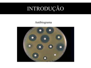 INTRODUÇÃO
Antibiograma
 