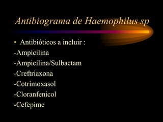 Antibiograma de Haemophilus sp

• Antibióticos a incluir :
-Ampicilina
-Ampicilina/Sulbactam
-Creftriaxona
-Cotrimoxasol
-Cloranfenicol
-Cefepime
 