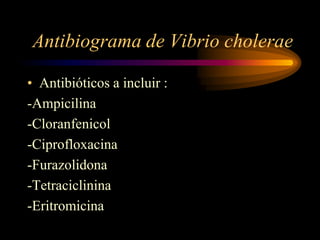 Antibiograma de Vibrio cholerae

• Antibióticos a incluir :
-Ampicilina
-Cloranfenicol
-Ciprofloxacina
-Furazolidona
-Tetraciclinina
-Eritromicina
 