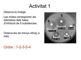 Activitat 1
Observa la imatge.
Les mides corresponen als
diàmetres dels halos
d’inhibició de 5 substàncies.
Ordena-les de menys eficaç a
més.
Ordre : 1-2-3-5-4
 
