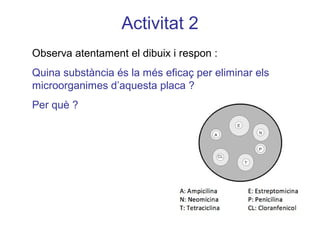 Activitat 2
Observa atentament el dibuix i respon :
Quina substància és la més eficaç per eliminar els
microorganimes d’aquesta placa ?
Per què ?
 